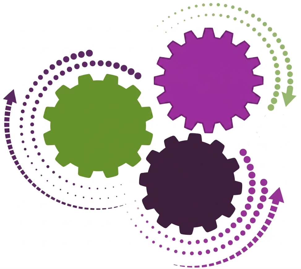 Three interlocking gears labelled Safely, Effectively and Orally